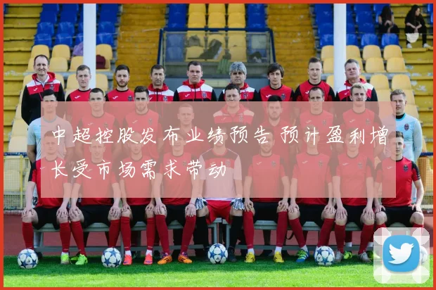 中超控股发布业绩预告 预计盈利增长受市场需求带动