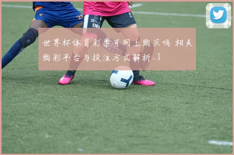 世界杯体育彩票可网上购买吗 相关购彩平台与投注方式解析_1