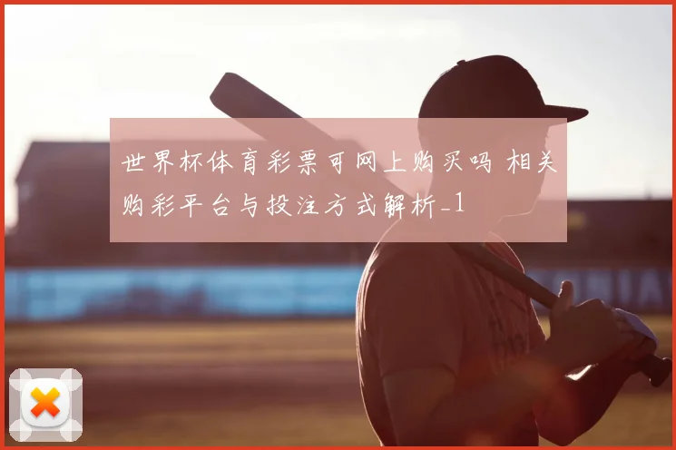 世界杯体育彩票可网上购买吗 相关购彩平台与投注方式解析_1