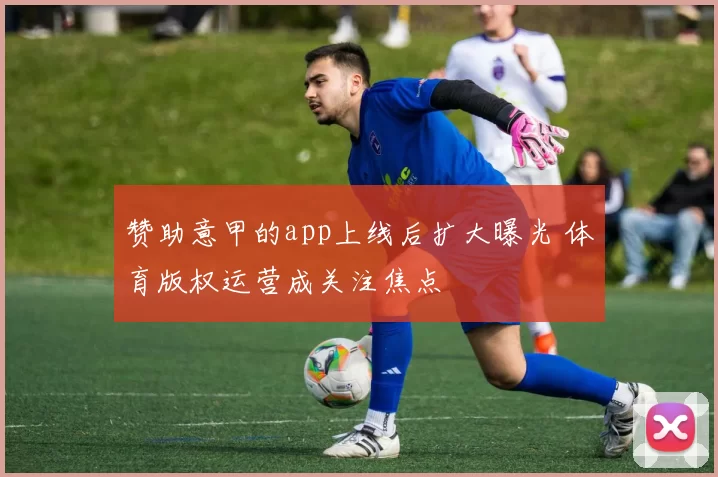赞助意甲的app上线后扩大曝光 体育版权运营成关注焦点